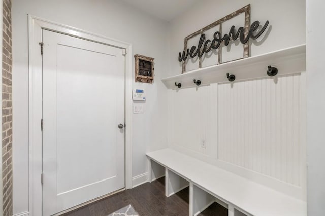 mudroom featuring dark wood-type flooring