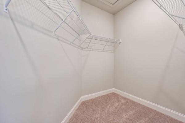 spacious closet featuring carpet flooring