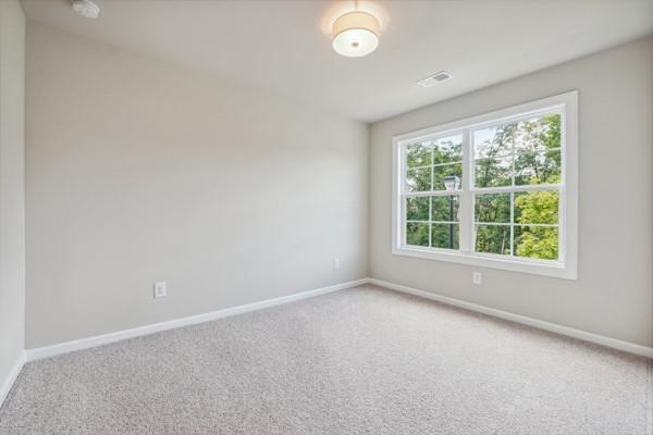 walk in closet with carpet floors