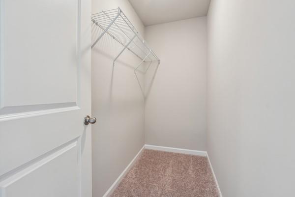 carpeted empty room with ceiling fan and lofted ceiling