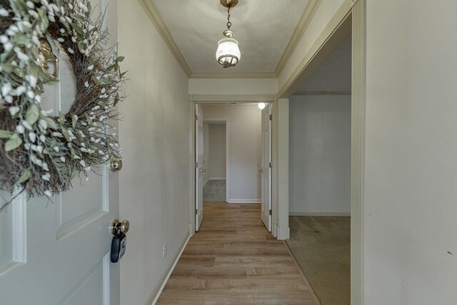 corridor with light hardwood / wood-style flooring and crown molding