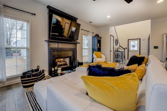 living room featuring hardwood / wood-style flooring