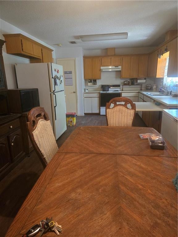 kitchen featuring electric range, under cabinet range hood, a sink, light countertops, and a textured ceiling