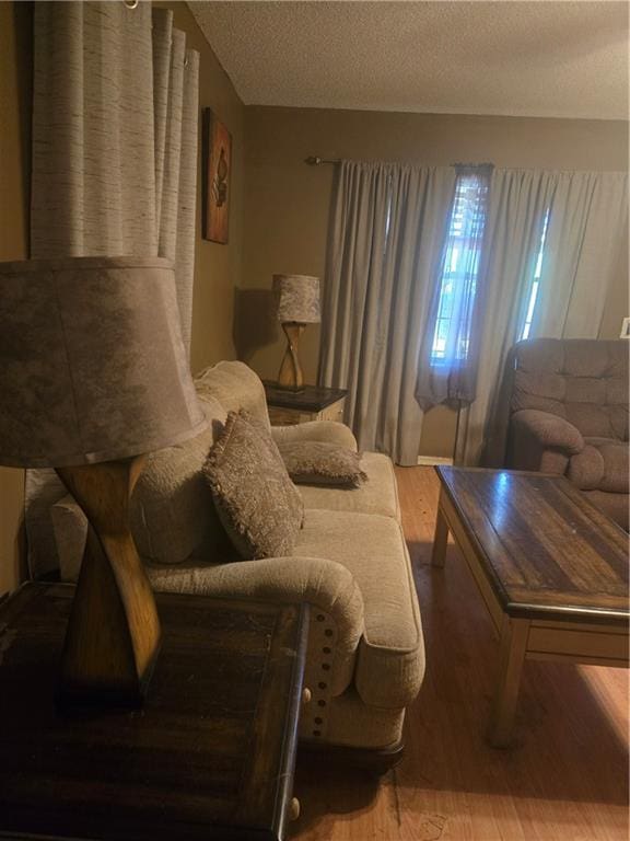living room featuring wood finished floors and a textured ceiling