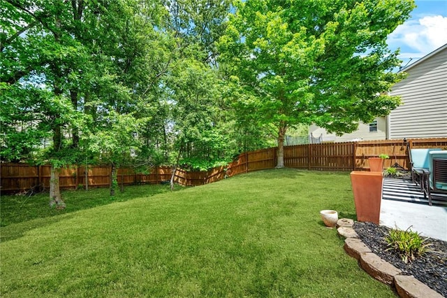 view of yard featuring a patio