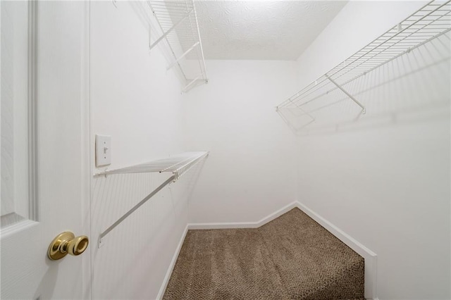 6509 Charter Way, Lithonia, GA 30058 - spacious closet with carpet floors