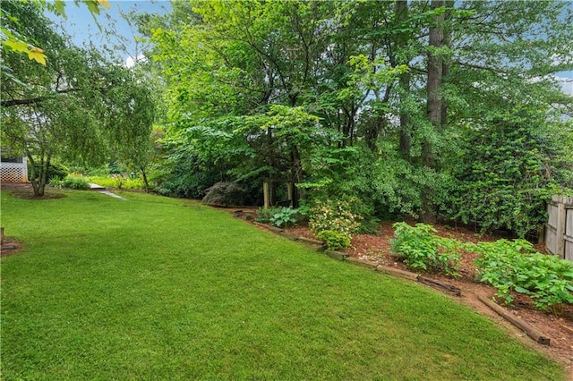 2900 Townley Cir, Atlanta, GA 30340 - view of yard