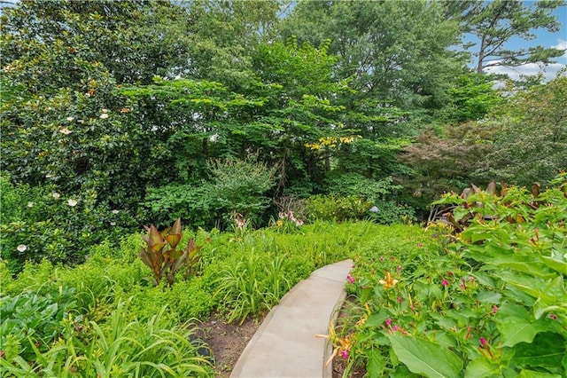 2900 Townley Cir, Atlanta, GA 30340 - view of yard