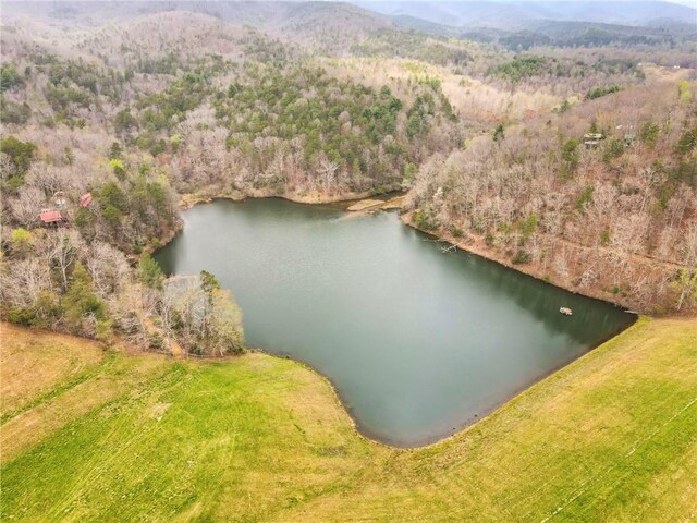 birds eye view of property featuring a water and mountain view