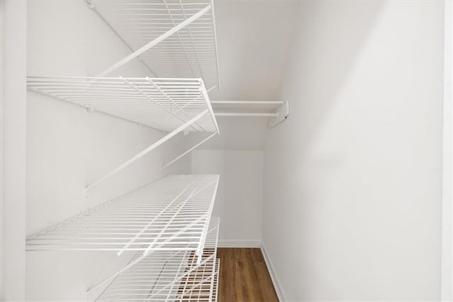 walk in closet featuring wood finished floors