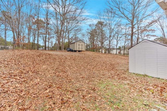 view of yard with a shed