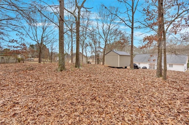 view of yard with a storage unit