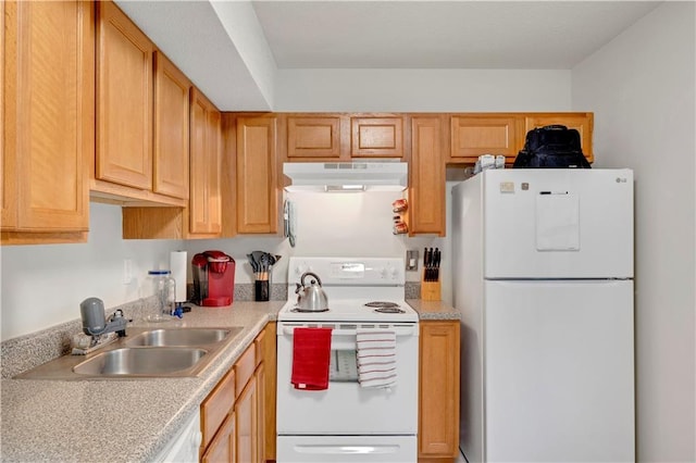 33 Middlebrook Dr, Cartersville, GA 30120 - kitchen with white appliances, under cabinet range hood, light countertops, and a sink
