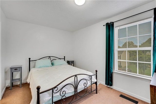 33 Middlebrook Dr, Cartersville, GA 30120 - bedroom featuring carpet floors, multiple windows, baseboards, and a textured ceiling