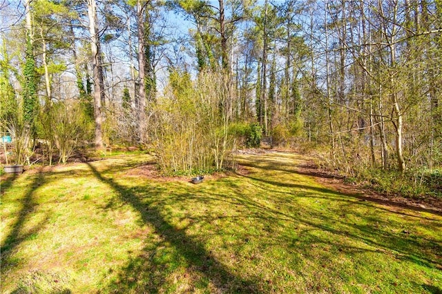 view of yard with a forest view