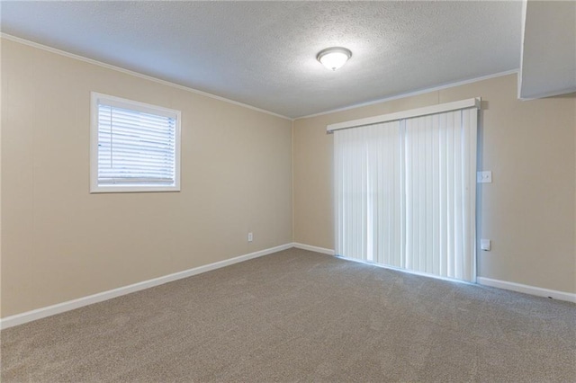 spare room featuring carpet flooring, a textured ceiling, and ornamental molding