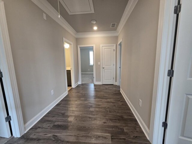 stairs featuring hardwood / wood-style flooring