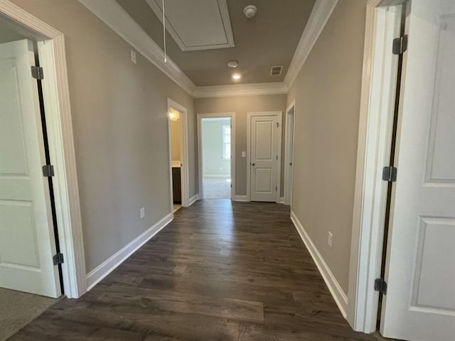 hallway with dark hardwood / wood-style flooring and crown molding