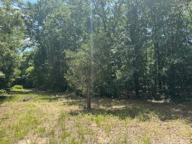3908 Byrd Rd, Augusta, GA 30906
