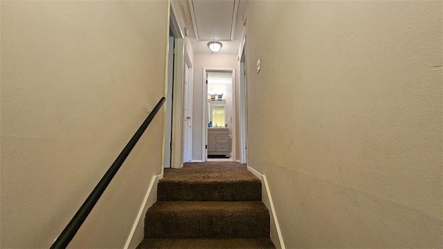 stairway featuring attic access, baseboards, and carpet flooring