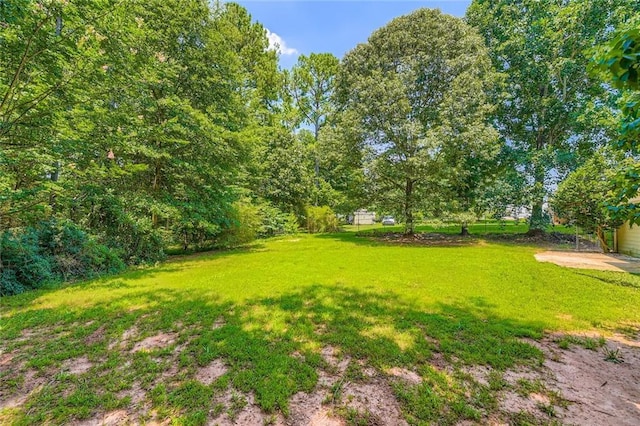 230 Belmont Trl, Covington, GA 30016 - view of green lawn