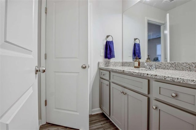 bathroom with vanity and wood finished floors