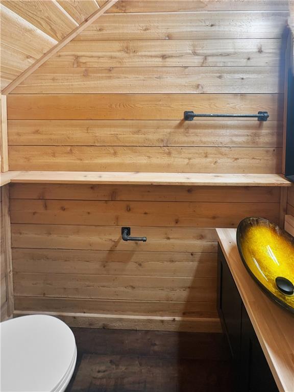 bathroom featuring wooden walls, vanity, and toilet