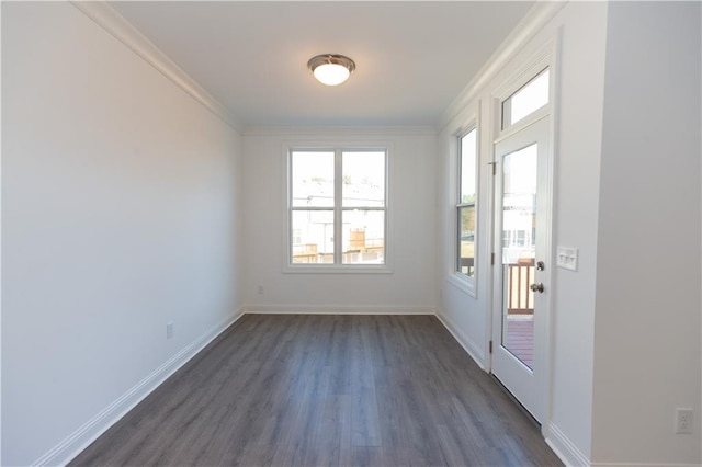 doorway featuring crown molding and dark hardwood / wood-style floors