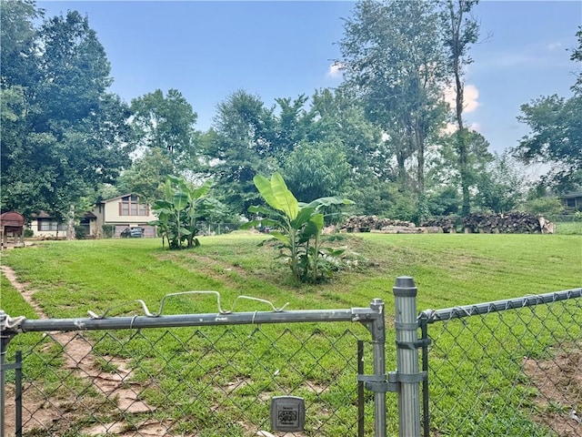 5347 Ocarol Ct, Stone Mountain, GA 30088 - view of yard