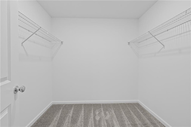 3064 Orwell Dr, Gainesville, GA 30507 - spacious closet with carpet