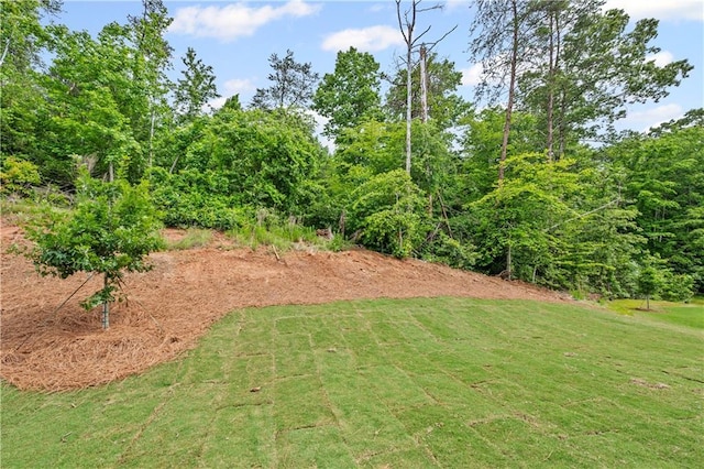 3064 Orwell Dr, Gainesville, GA 30507 - view of grassy yard