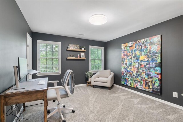 5041 Corinault Pl NW, Acworth, GA 30101 - home office with healthy amount of natural light, carpet flooring, and baseboards