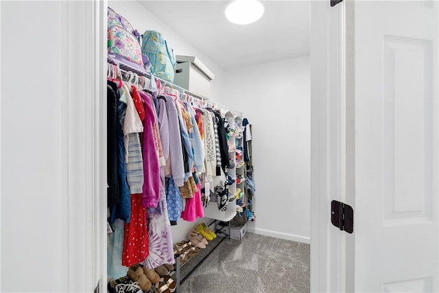 5041 Corinault Pl NW, Acworth, GA 30101 - walk in closet featuring carpet flooring