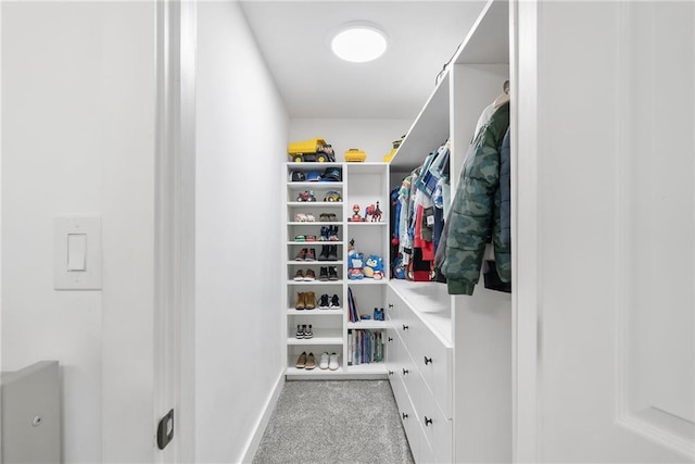 5041 Corinault Pl NW, Acworth, GA 30101 - walk in closet with carpet floors