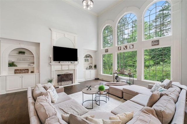 882 Hallbrook Ln, Milton, GA 30004 - living area with built in shelves, a towering ceiling, wood finished floors, crown molding, and a fireplace