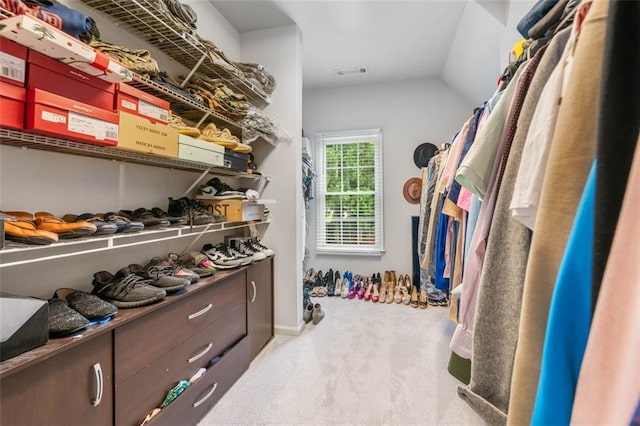 882 Hallbrook Ln, Milton, GA 30004 - spacious closet with carpet floors and lofted ceiling
