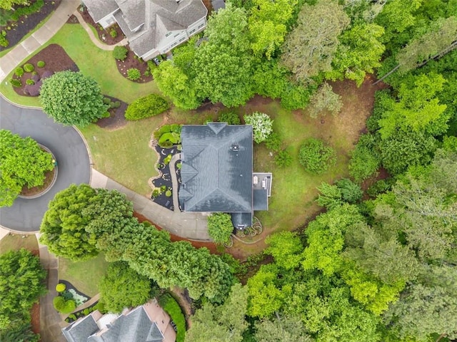 882 Hallbrook Ln, Milton, GA 30004 - bird's eye view