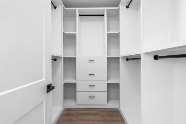 walk in closet featuring dark hardwood / wood-style flooring