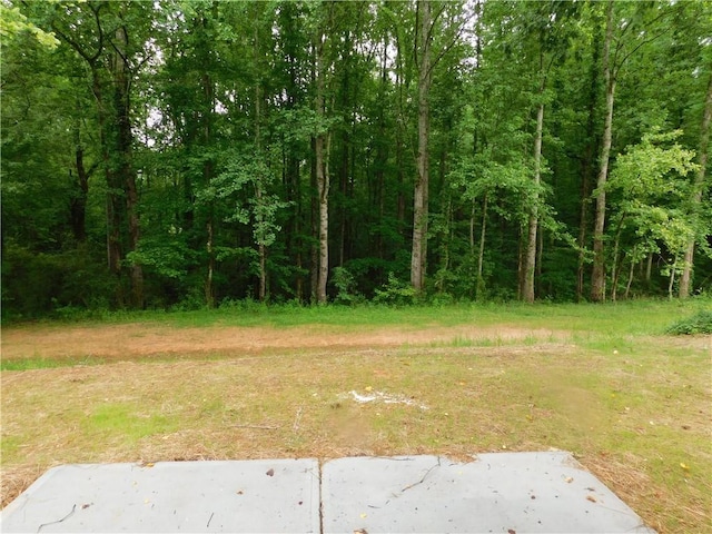 100 Elbert Gaddis Rd, Dahlonega, GA 30533 - view of yard