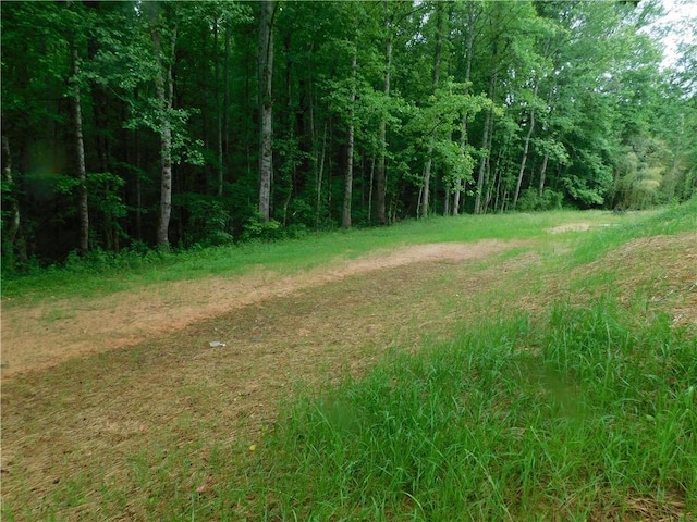 100 Elbert Gaddis Rd, Dahlonega, GA 30533 - view of tree filled area