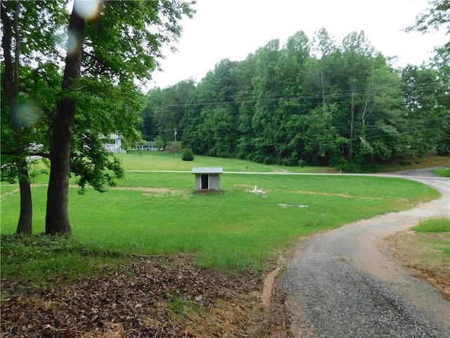 100 Elbert Gaddis Rd, Dahlonega, GA 30533 - view of property's community featuring a yard