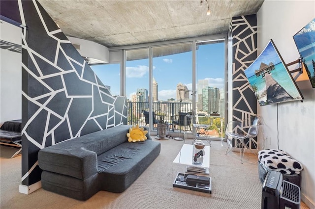 carpeted living room with a wall of windows