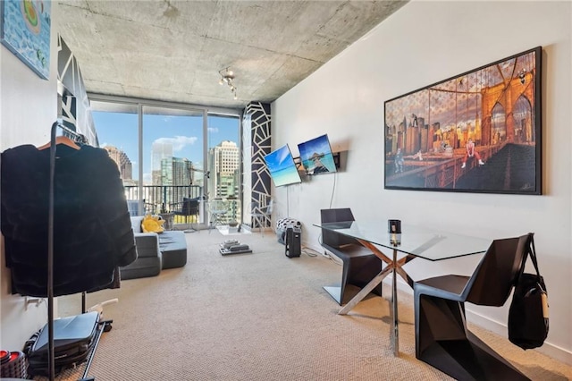 home office with carpet floors and floor to ceiling windows