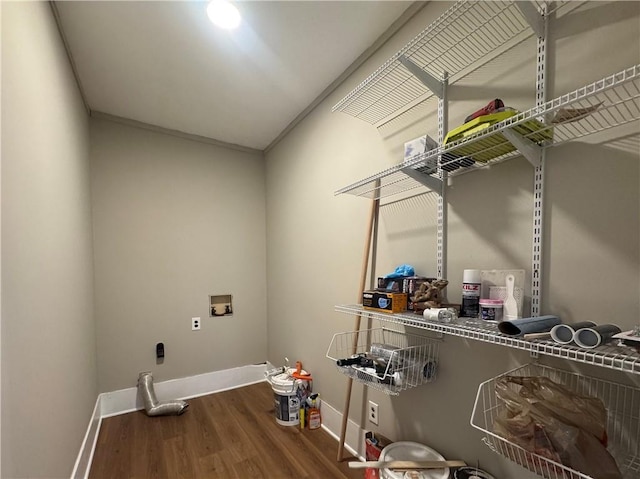 washroom featuring hardwood / wood-style floors and washer hookup