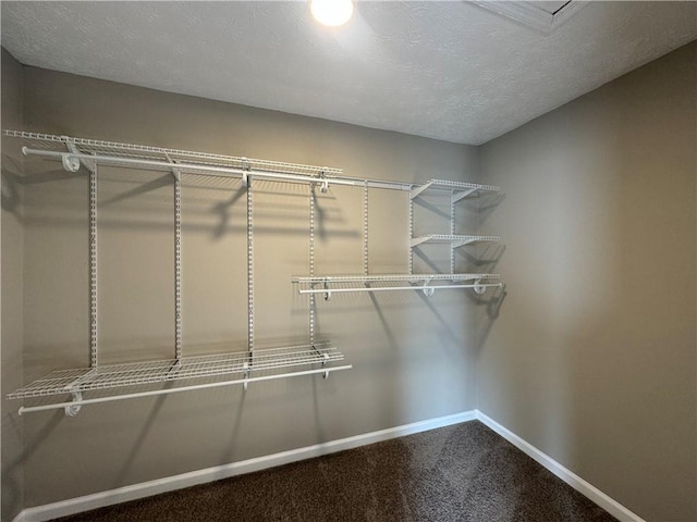 spacious closet with carpet floors