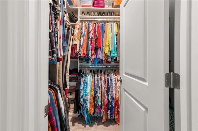 3 Hundley Ln, Roswell, GA 30076 - view of spacious closet