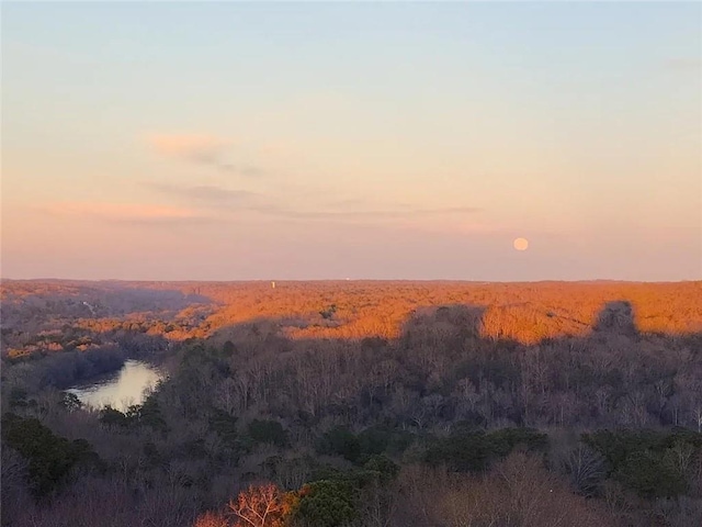 nature at dusk featuring a water view