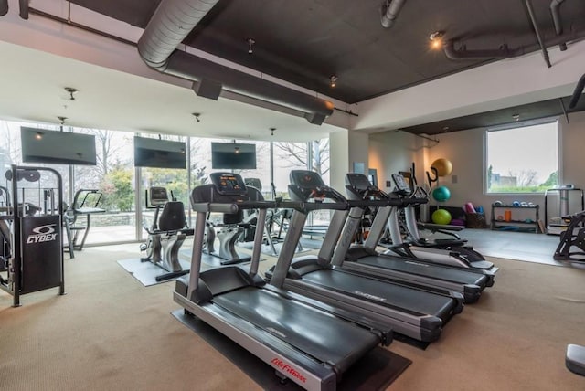 exercise room with light carpet