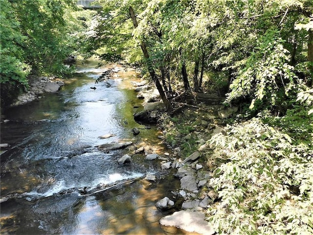 view of local wilderness