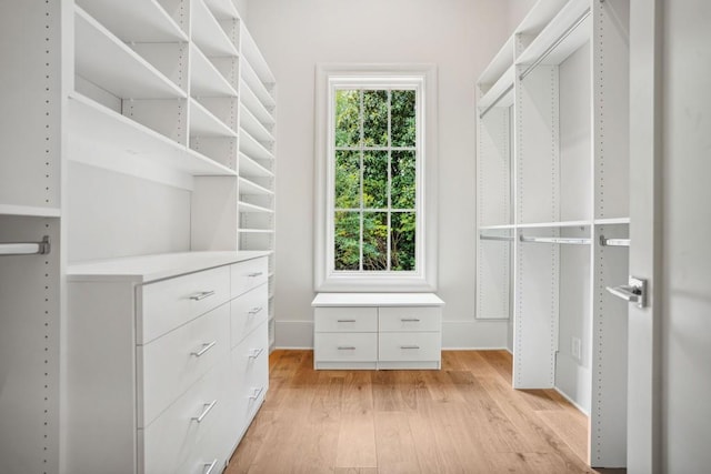 spacious closet featuring light wood-type flooring